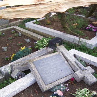 Blesk zničil stromy na cintoríne