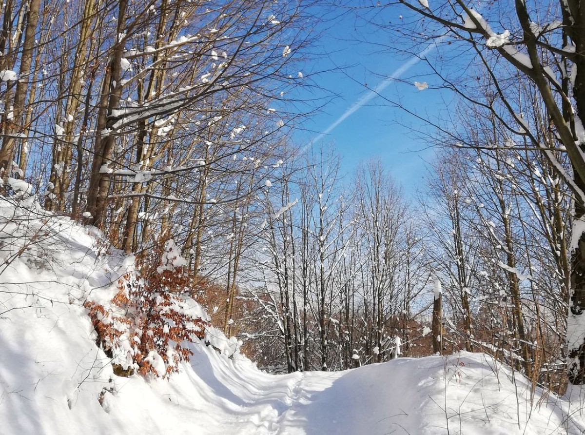 Prianie starostu obce Terchová