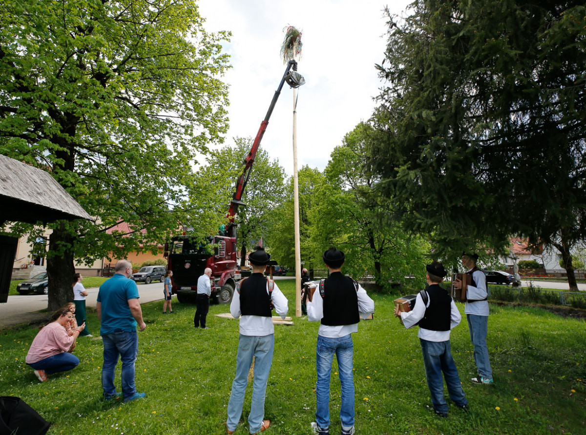 Stavanie májov v Terchovej 2025