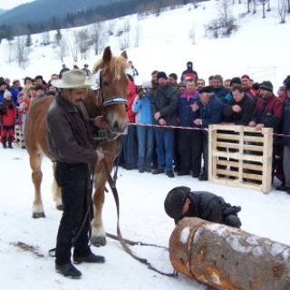 Gazdovské kone 2006