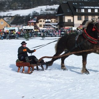 Preteky gazdovských koní 2017