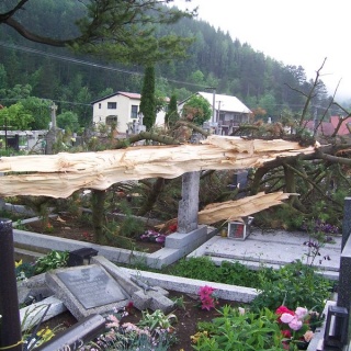 Blesk zničil stromy na cintoríne