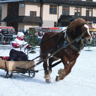 Preteky gazdovských koní 2017
