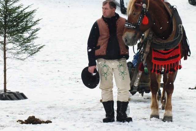 Preteky gazdovských koní 2017