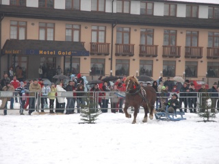 Gazdovské kone - propagačné foto 22