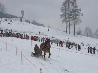 Gazdovské kone - propagačné foto 23