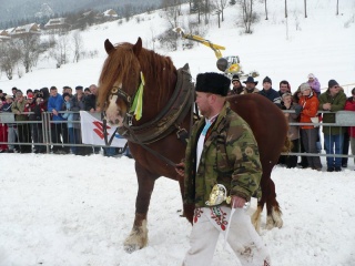 Preteky gazdovských koní 2009 21