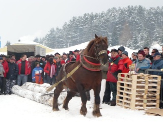 Preteky gazdovských koní 2009 24