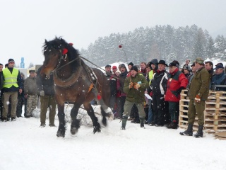 Preteky gazdovských koní 2009 25