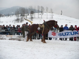 Preteky gazdovských koní 2009 30