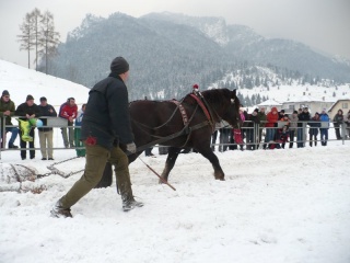 Preteky gazdovských koní 2009 32