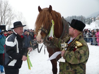 Preteky gazdovských koní 2009 22