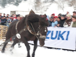 Preteky gazdovských koní 2009 28