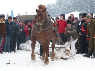 Preteky gazdovských koní 2009 29