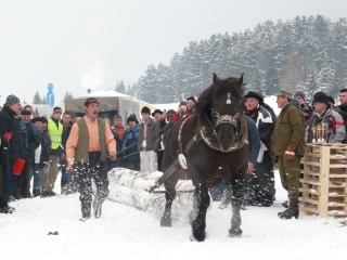 Preteky gazdovských koní 2009 27