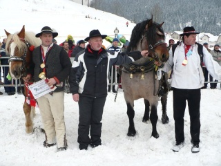 Preteky gazdovských koní 2009 23