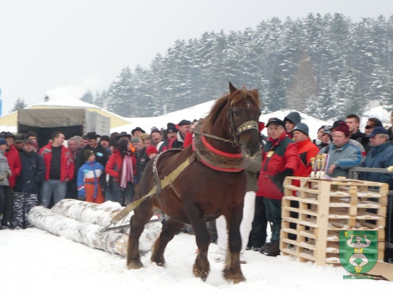 Preteky gazdovských koní 2009 24