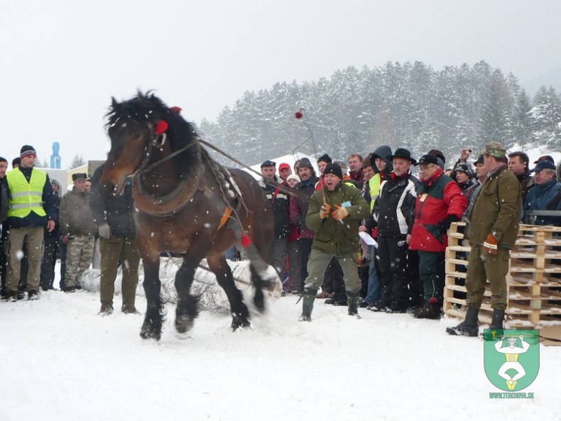 Preteky gazdovských koní 2009 25