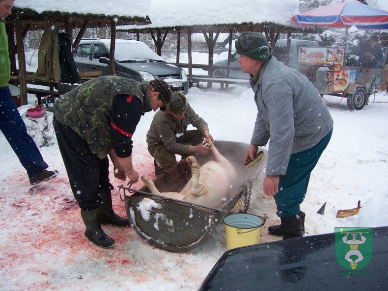Preteky gazdovských koní 2009 2