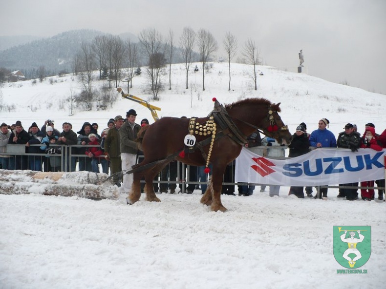 Preteky gazdovských koní 2009 30