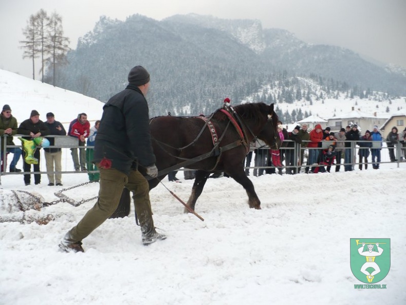 Preteky gazdovských koní 2009 32