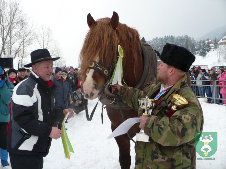 Preteky gazdovských koní 2009 22