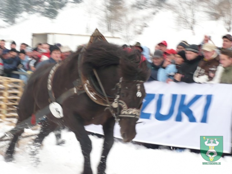 Preteky gazdovských koní 2009 28