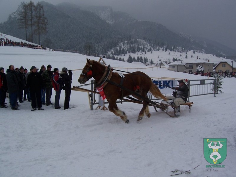 Preteky gazdovských koní 2009 7