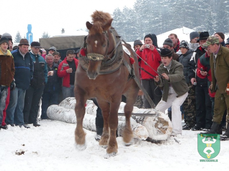 Preteky gazdovských koní 2009 29