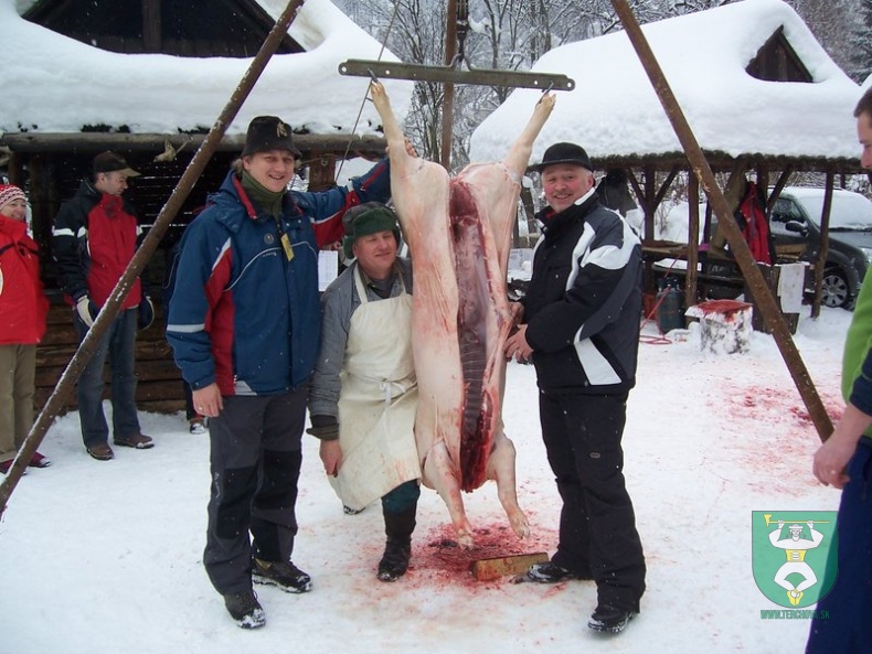 Preteky gazdovských koní 2009 4