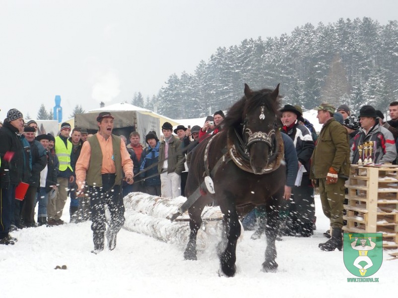 Preteky gazdovských koní 2009 27