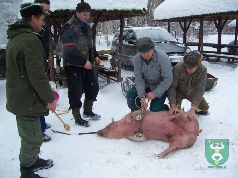 Preteky gazdovských koní 2009 1