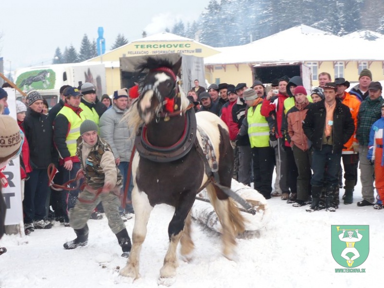 Preteky gazdovských koní 2009 33