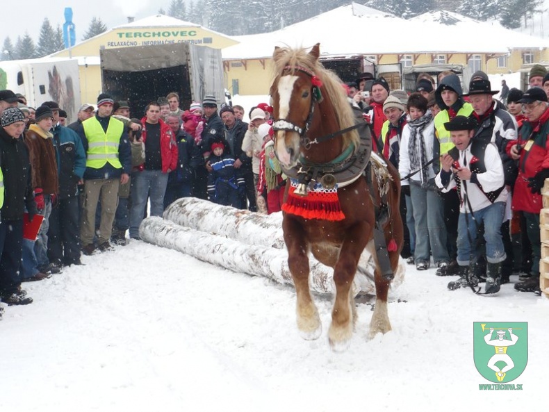 Preteky gazdovských koní 2009 26