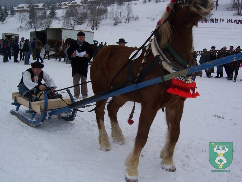 Preteky gazdovských koní 2009 6