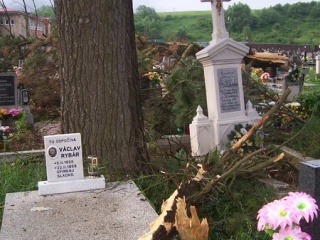 Blesk zničil stromy na cintoríne 45