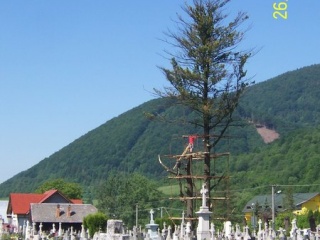 Blesk zničil stromy na cintoríne 14