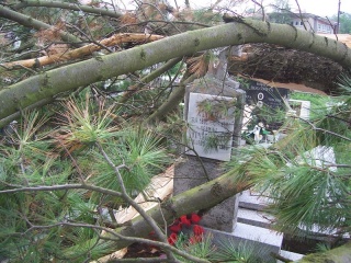 Blesk zničil stromy na cintoríne 5