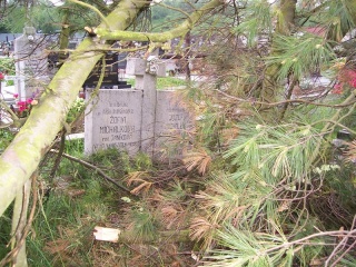 Blesk zničil stromy na cintoríne 44