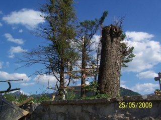 Blesk zničil stromy na cintoríne 25