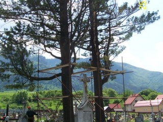Blesk zničil stromy na cintoríne 35