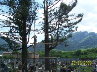 Blesk zničil stromy na cintoríne 33