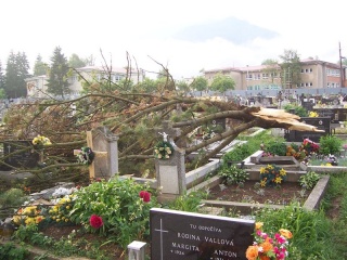 Blesk zničil stromy na cintoríne 50