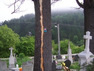 Blesk zničil stromy na cintoríne 51