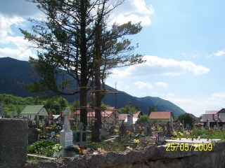 Blesk zničil stromy na cintoríne 29