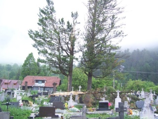 Blesk zničil stromy na cintoríne 38