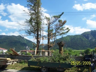 Blesk zničil stromy na cintoríne 28
