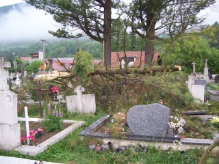 Blesk zničil stromy na cintoríne 40