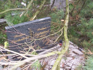 Blesk zničil stromy na cintoríne 47