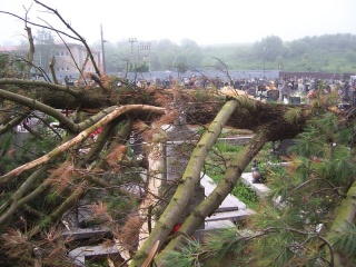 Blesk zničil stromy na cintoríne 37